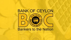 Ofertas Imperdíveis de Empréstimos BOC!